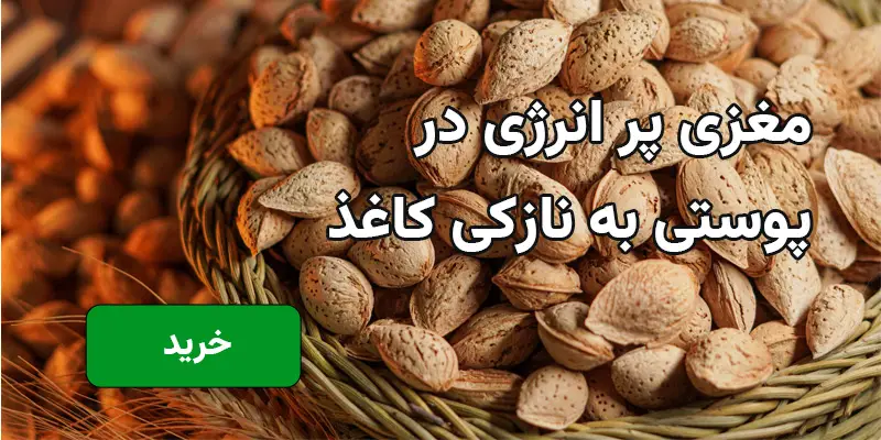 بنر 3